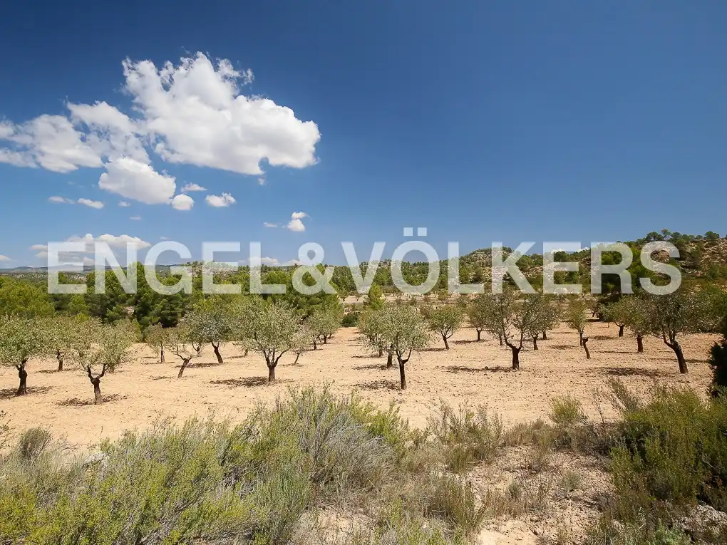 Finca rústica en venda a Requena