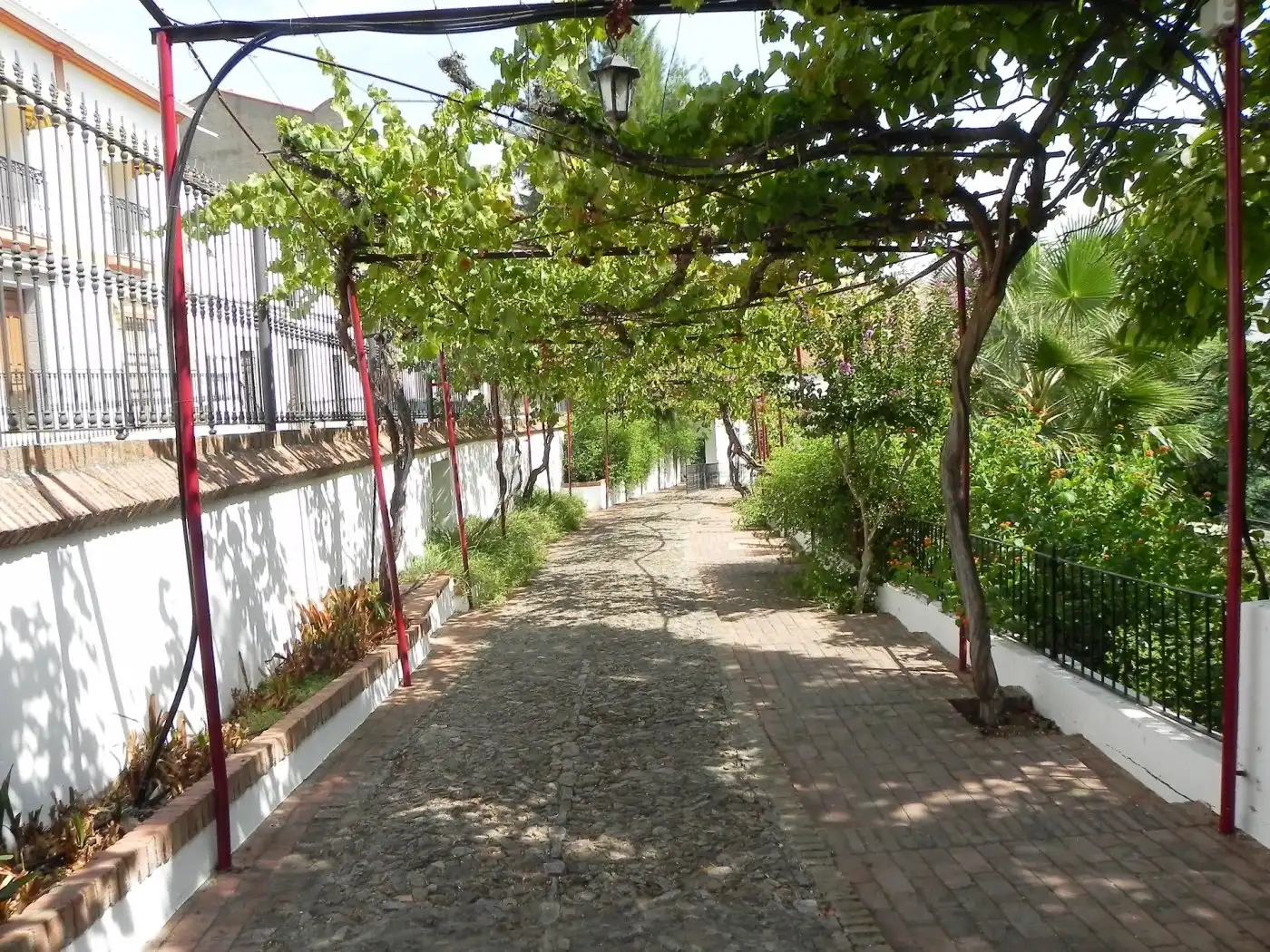 Vista exterior de Casa adosada en venta en Alange con Jardín privado, Trastero y Amueblado