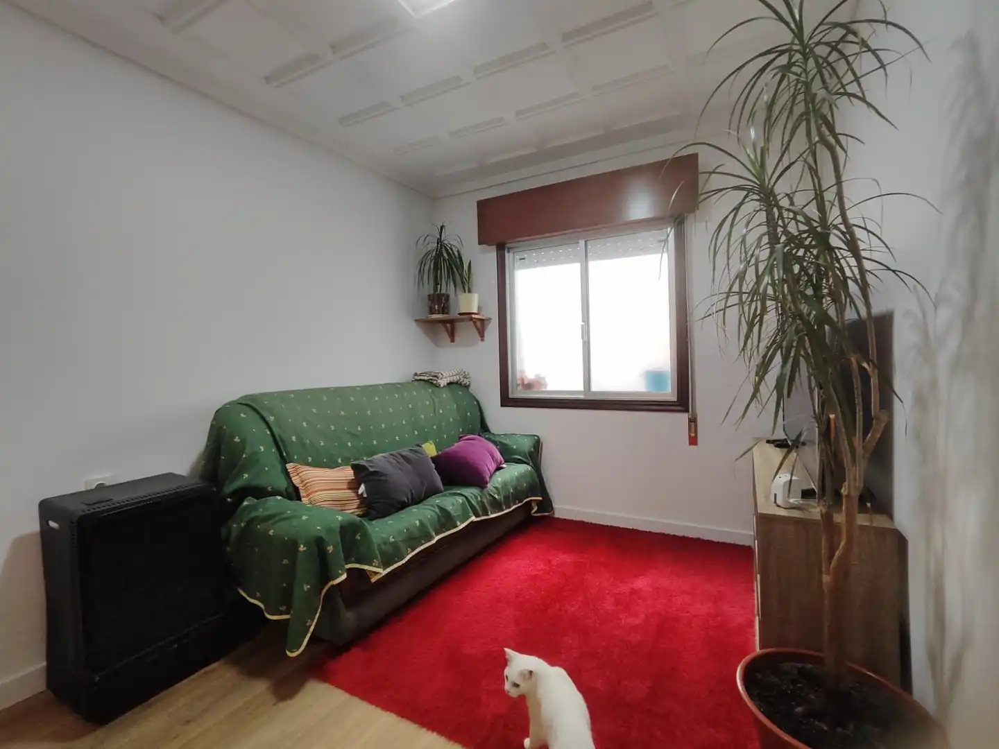 Appartement avec ascenseur à vendre à Travesía de Jaime Janer 16, imagen 5