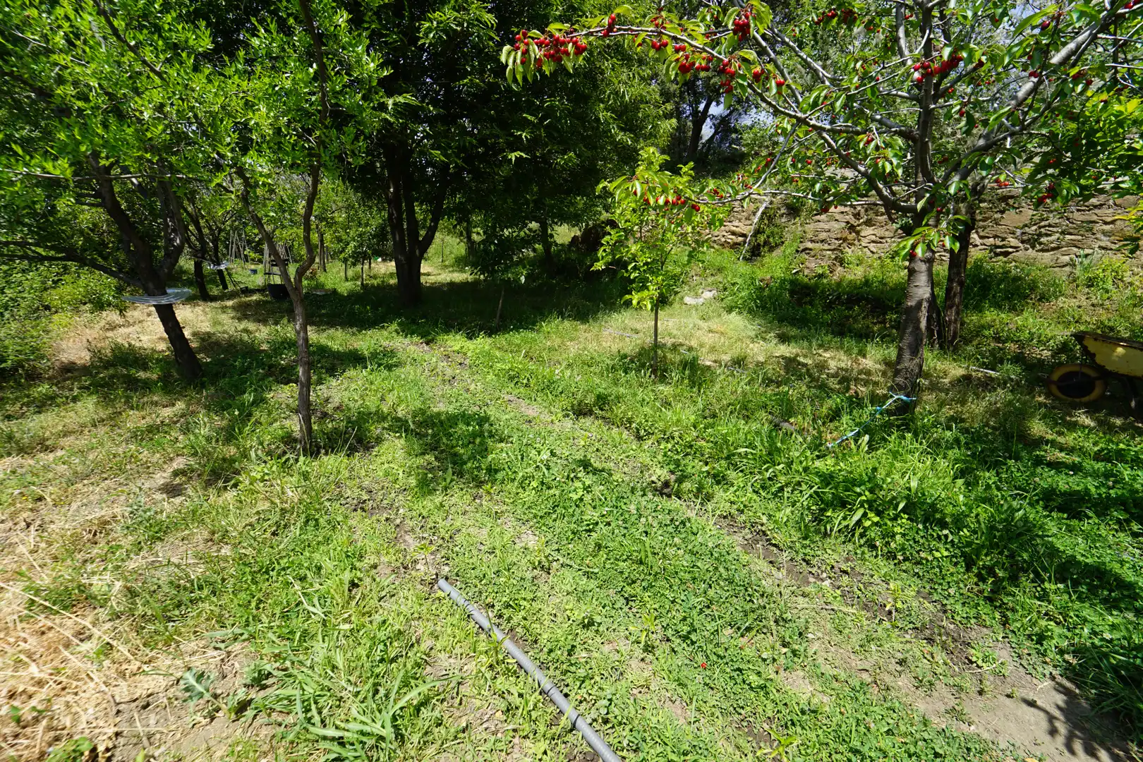 Finca rústica en venda en La Taha amb Terrassa i Moblat