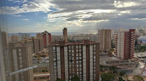 Foto 2 de Estudio en venta en Avenida de Portugal, Juzgados - Plaza de Toros, Benidorm
