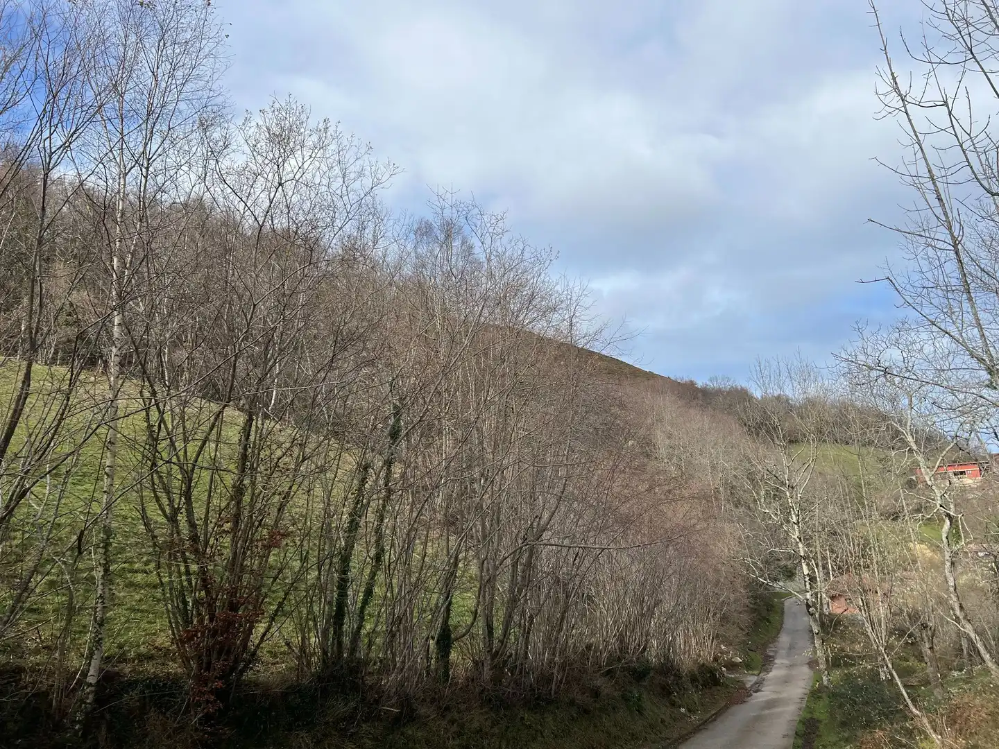 Terreno rustico in vendita a següenco, imagen 13