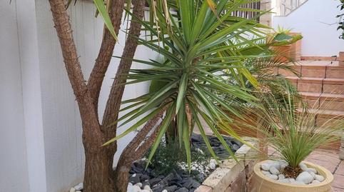 Foto 5 de Casa o xalet en venda a El Palomar, Valencia