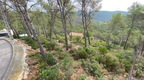 En venta 5 parcelas juntas, immagine 2