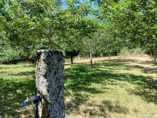 Casa con jardín en venta en PO-9202, imagen 47