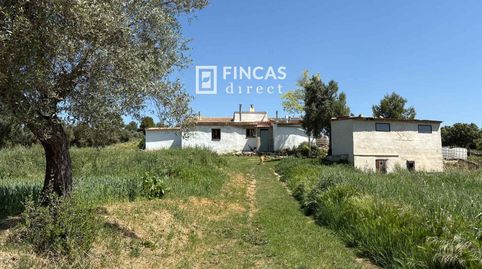 Foto 4 de Finca rústica en venta en W68v+x36, Cretas, Teruel
