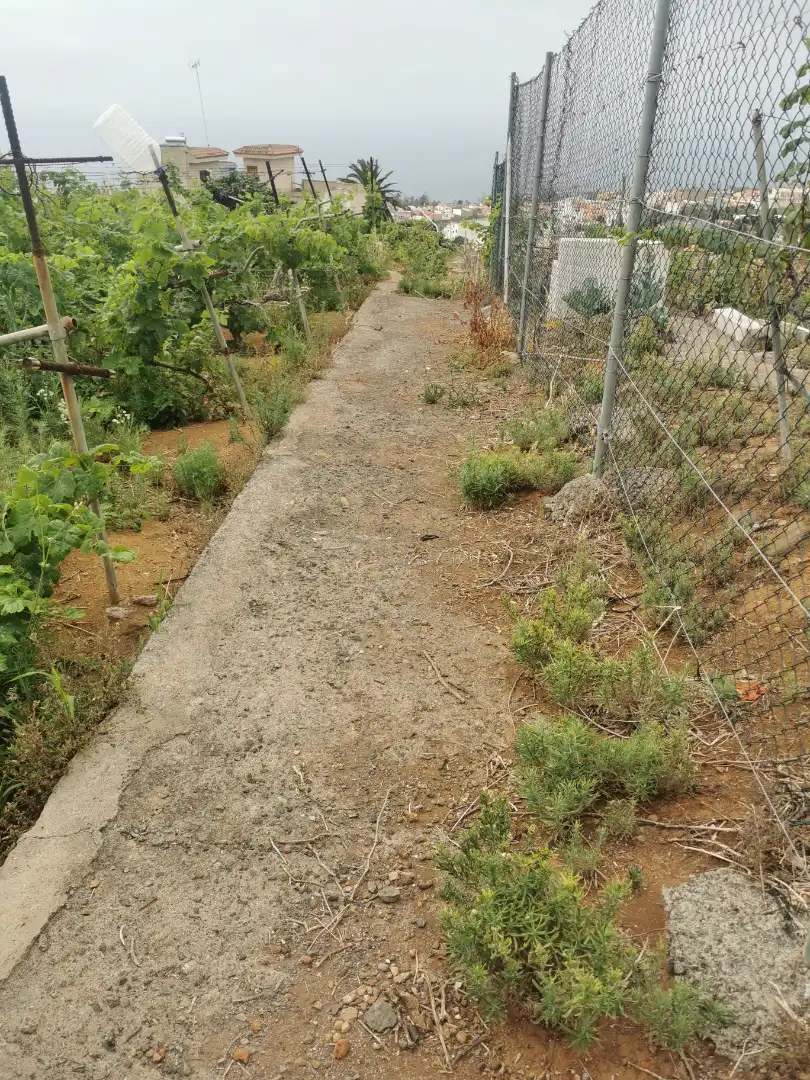 Terreno en venta en Calle la Bastona, Santa Úrsula pueblo