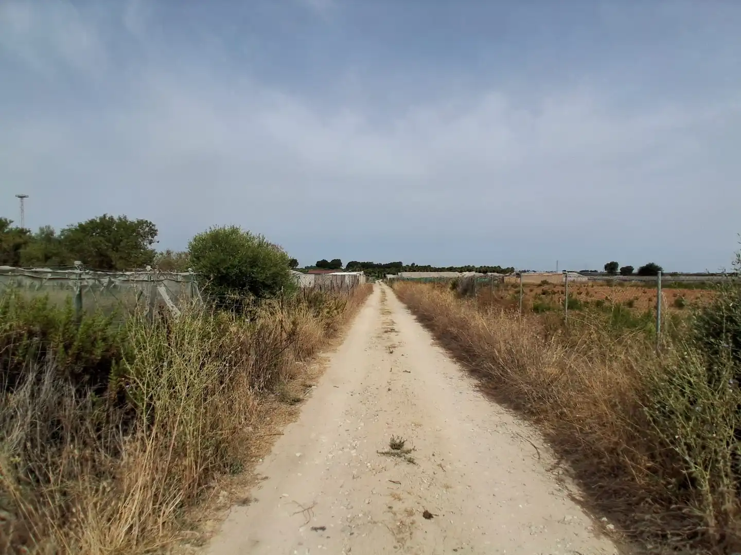Residential land for sale in Pinar de la villa, imagen 7