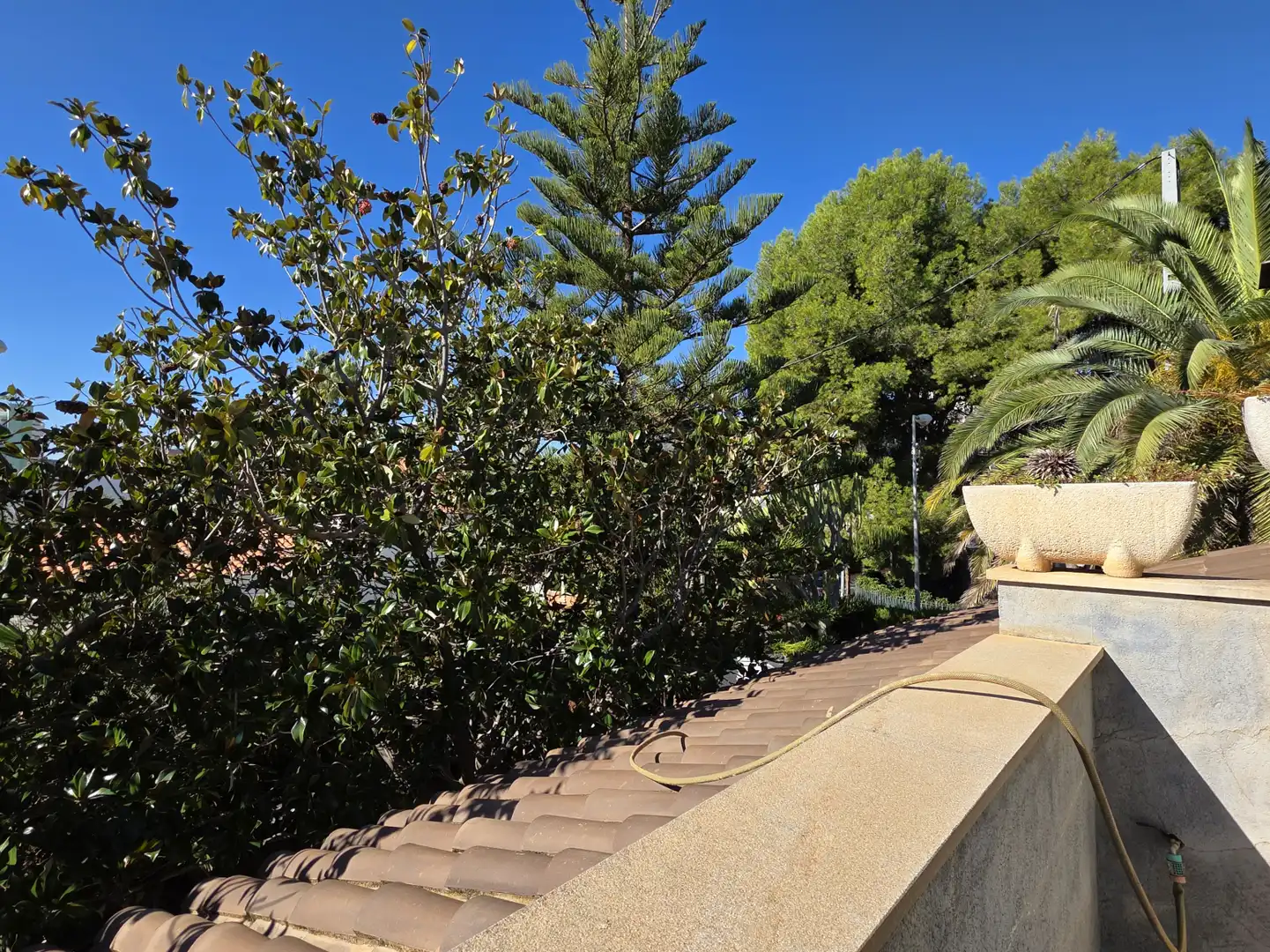 Casa o xalet en venda a TR AMERICA, 17, Torreón - La Almadraba