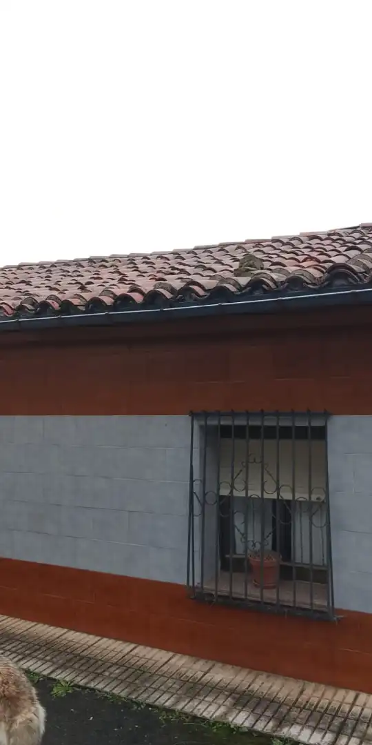 Vista exterior de Casa adosada en venda en Langreo amb Terrassa