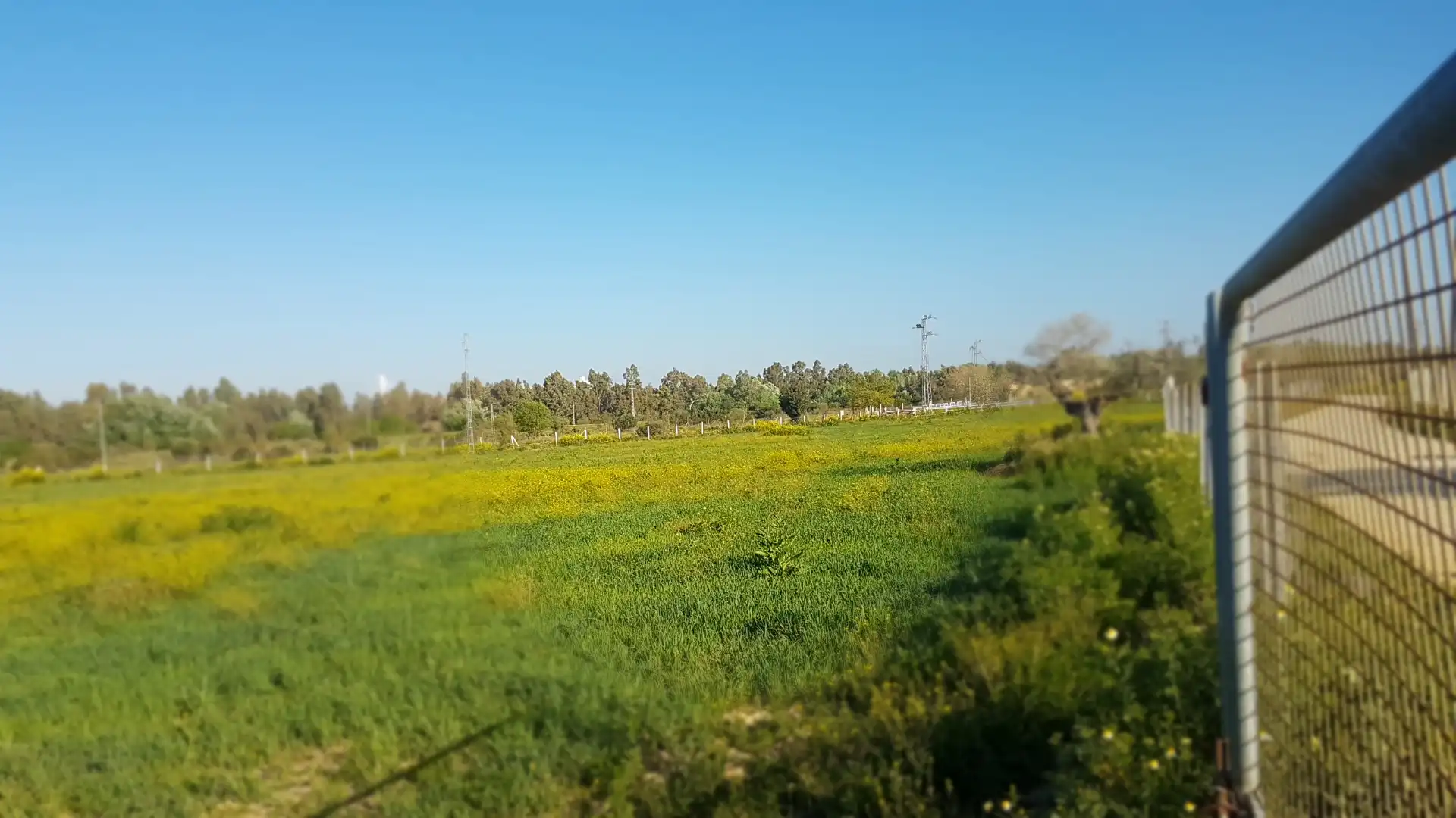 Terreni e lotti in vendita a Sanlúcar la Mayor, imagen 29
