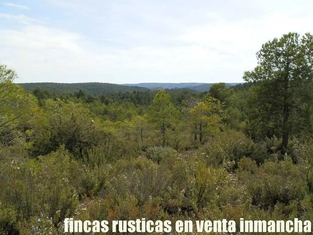 Terreni e lotti in vendita a Carboneras de Guadazaón, imagen 3