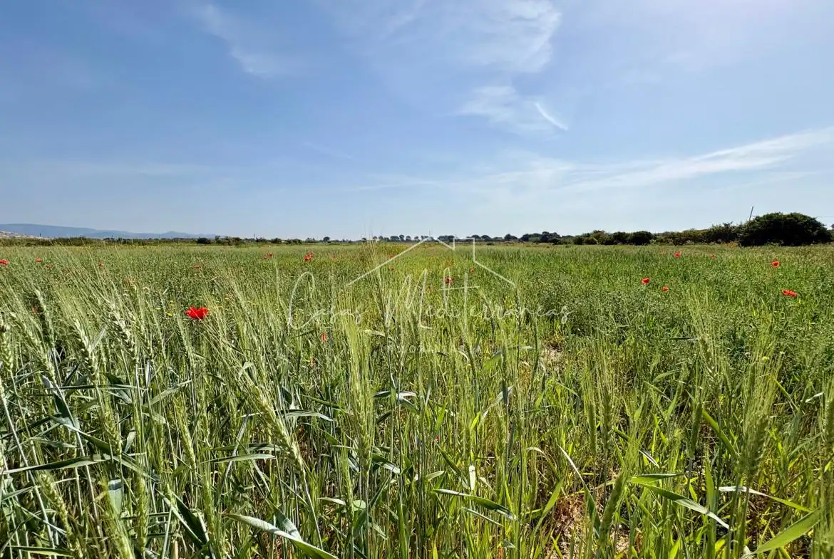 Terreny rústic en venda a Ardiaca - La Llosa, imagen 17
