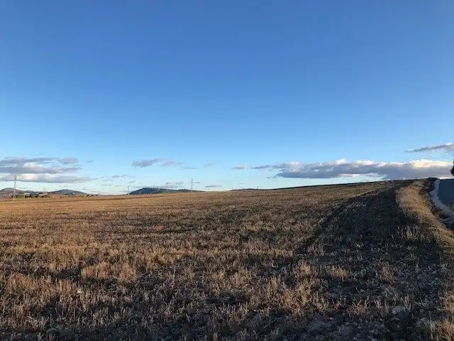 Terreno rustico in vendita a Almansa, imagen 2
