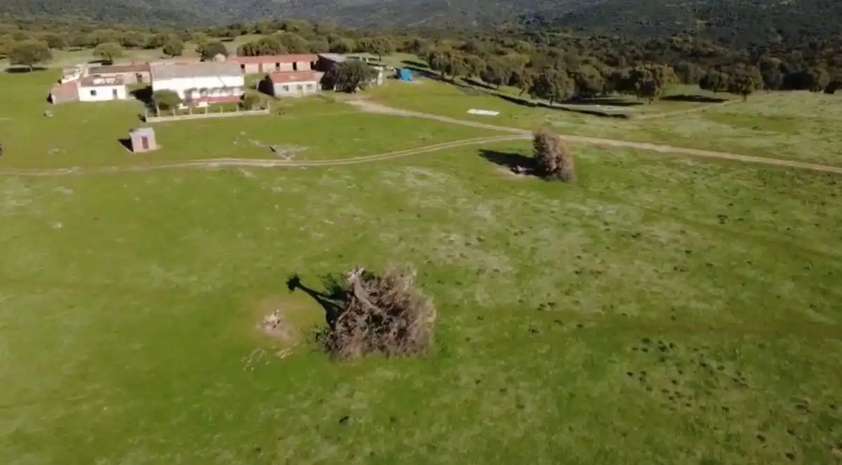 Terreny rústic en venda a Alcántara, imagen 2