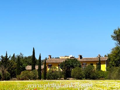 Vista exterior de Finca rústica en venda en Felanitx amb Terrassa