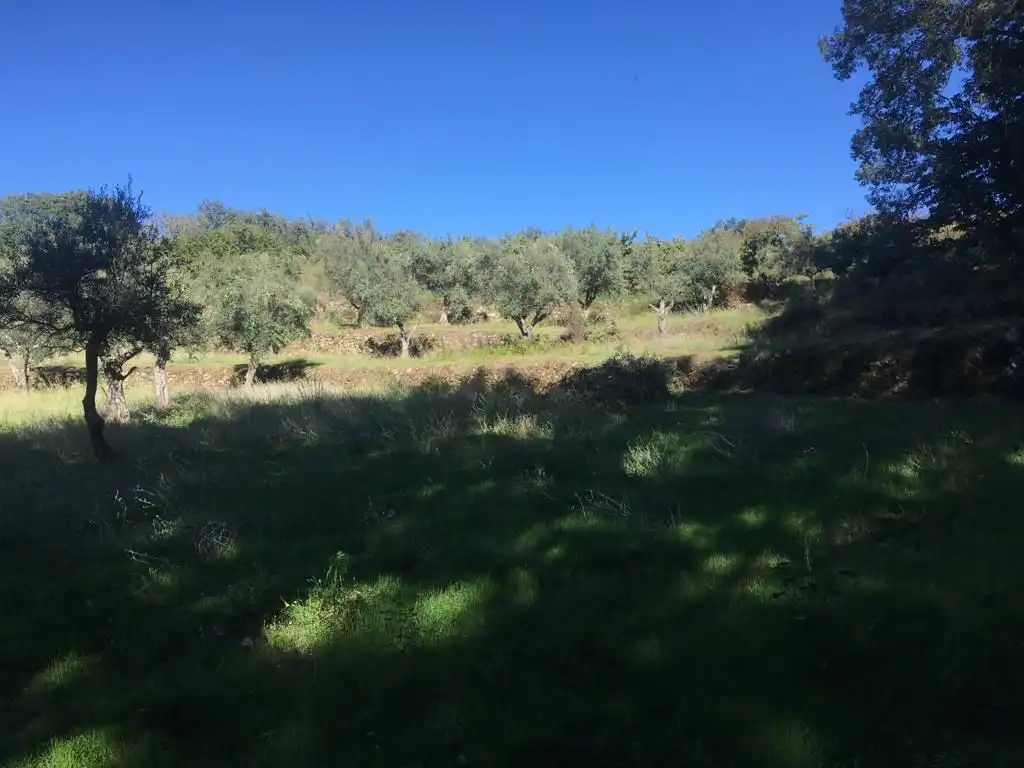 Terreni e lotti in vendita a Jarandilla de la Vera, imagen 7