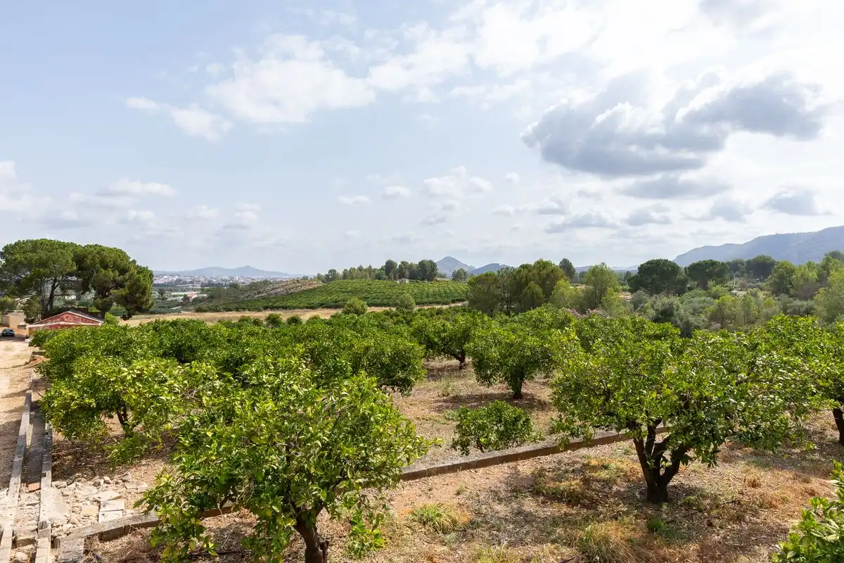 Casa o xalet en venda a Partida Raco de Pasqual, Montesa