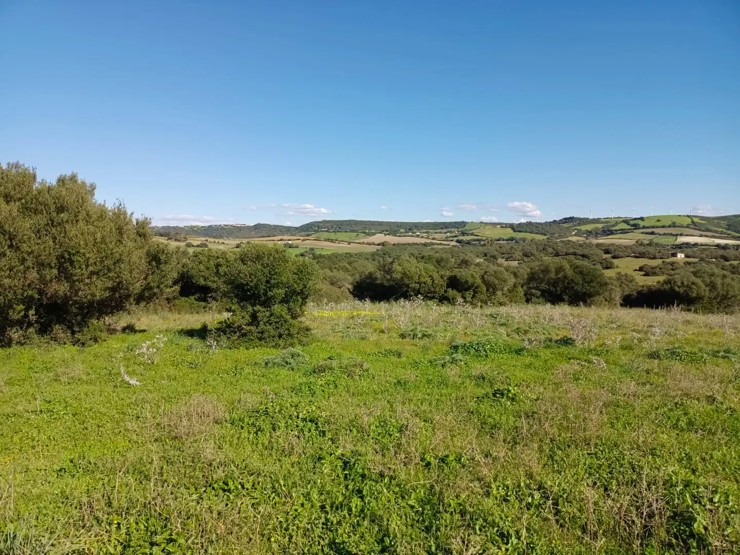 Terrain rustique à vendre à Vejer, imagen 3