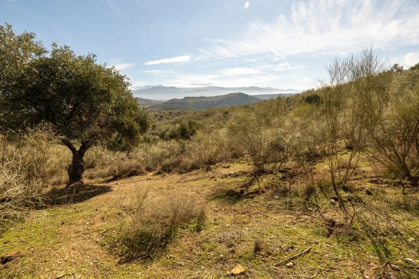 Country house for sale in Albaicín, imagen 32