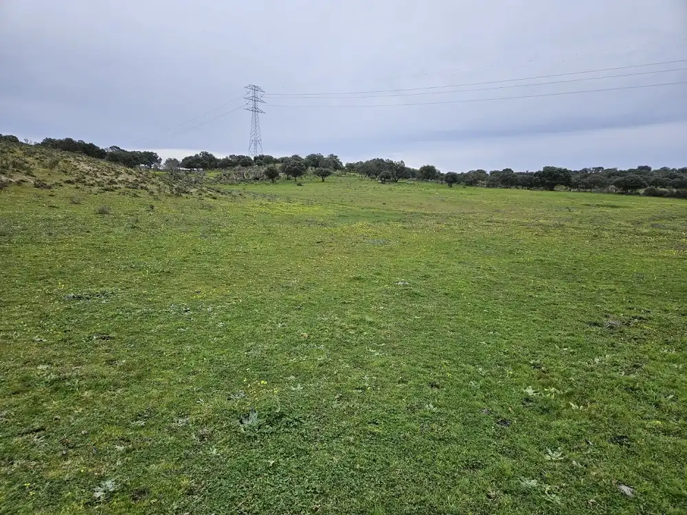 Terreni e lotti in vendita a Navas del Madroño, imagen 3