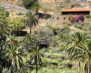 Jardí de Casa o xalet en venda en Vallehermoso amb Jardí privat i Terrassa