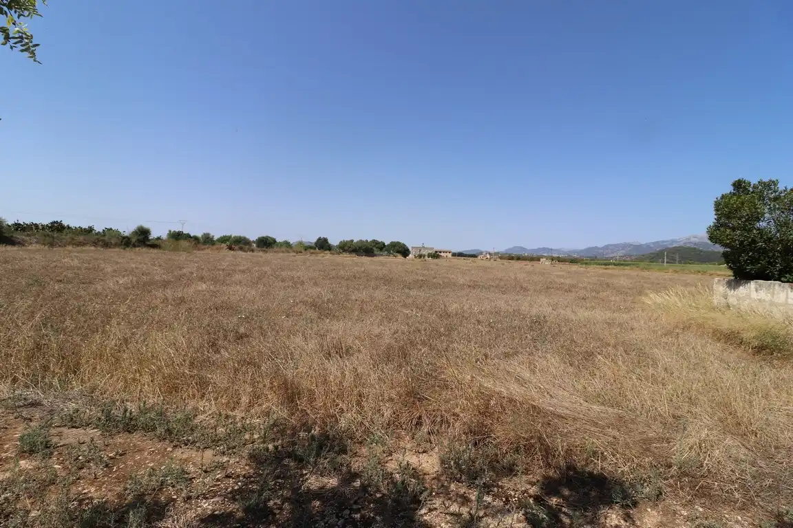 Grundstücke zum Verkauf in Sa Pobla