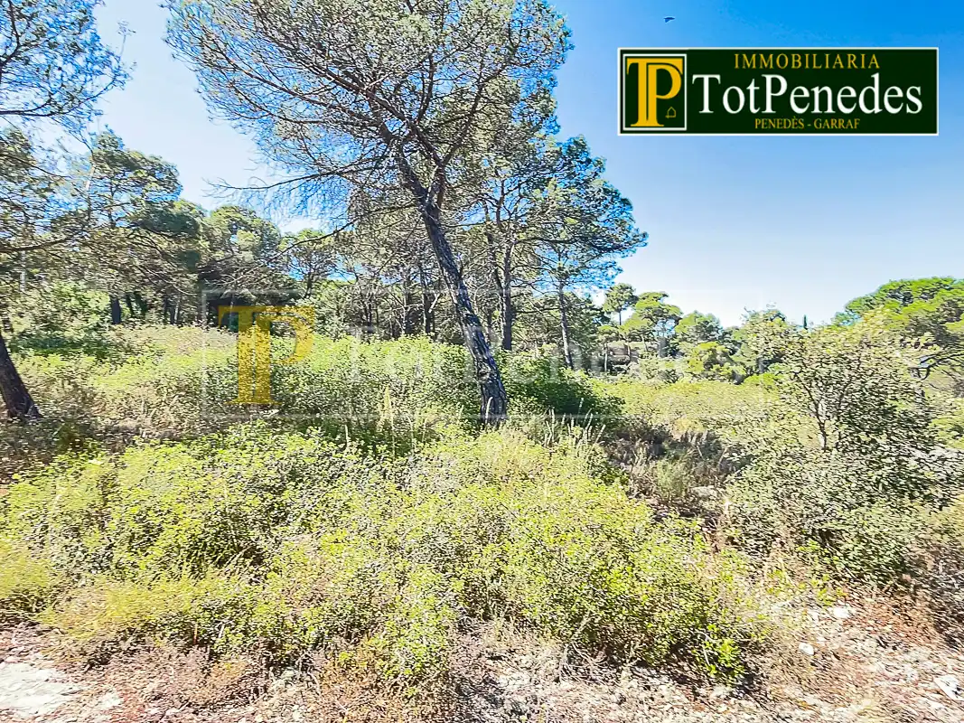 Terreny residencial en venda a Carrer Tarragona, imagen 13