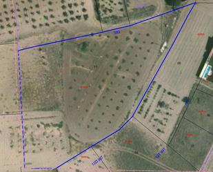 Land for sale in Morales de Toro