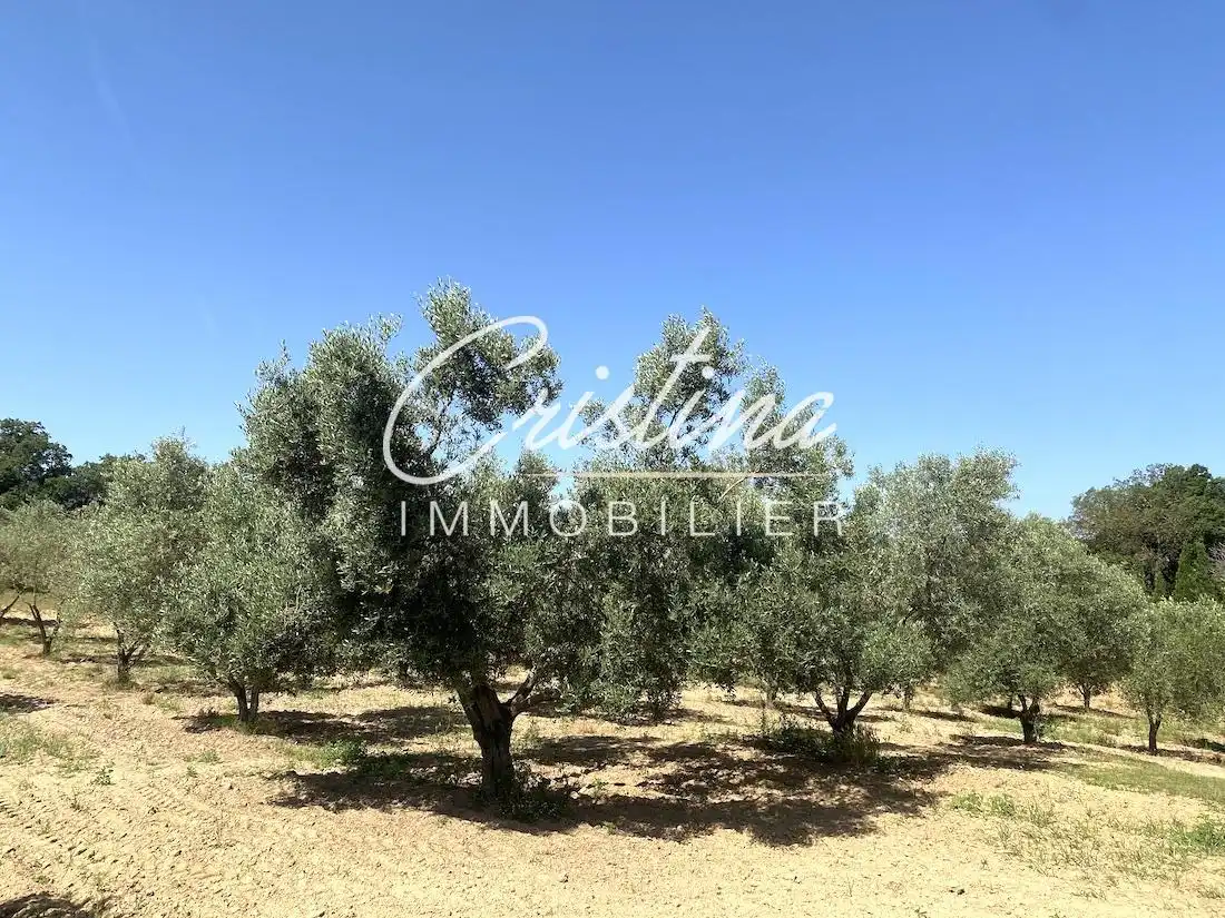 Country house for sale in Cabanyes - Mas Ambrós - Mas Pallí, imagen 21