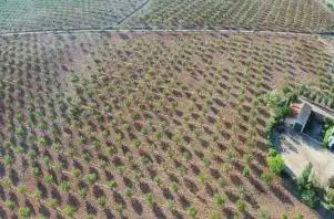 Finca rústica en venda en Huéneja