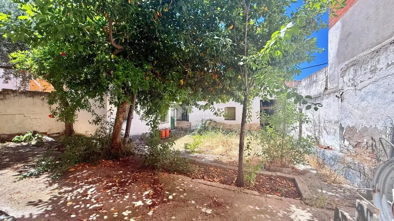 Garten von Einfamilien-Reihenhaus zum Verkauf in Portillo de Toledo