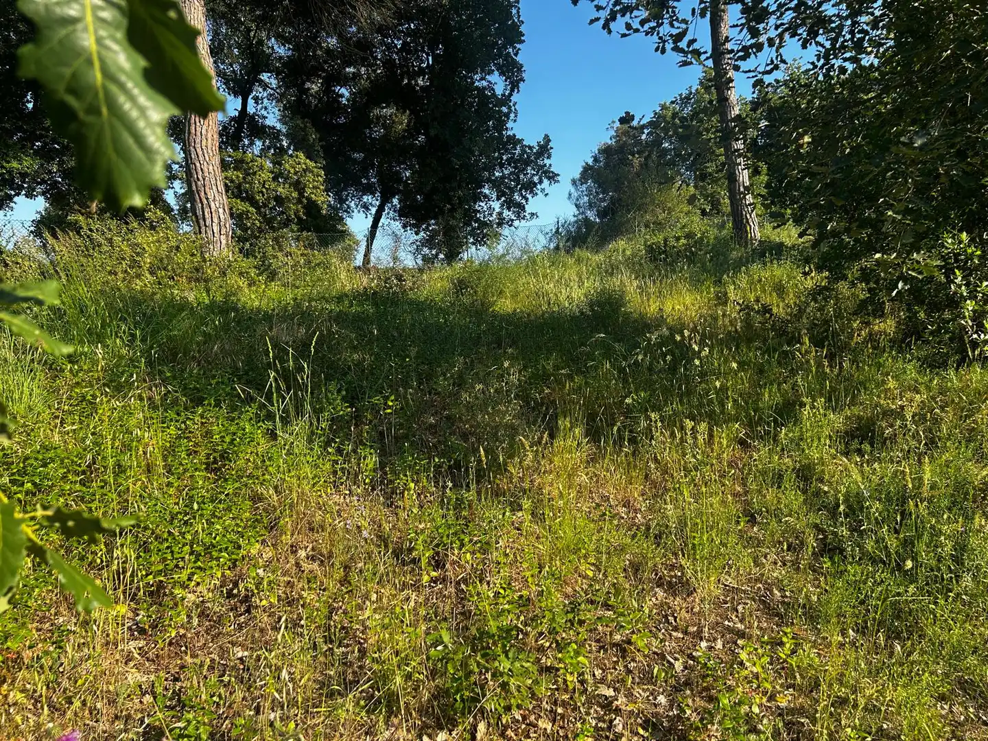 Residential land for sale in Residencial Park, imagen 11