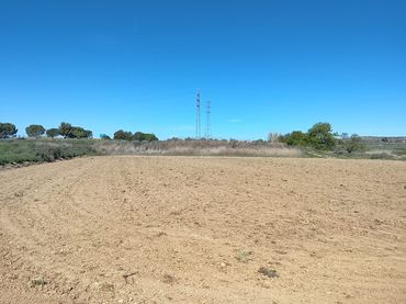Terreno rustico in vendita a Alcoletge