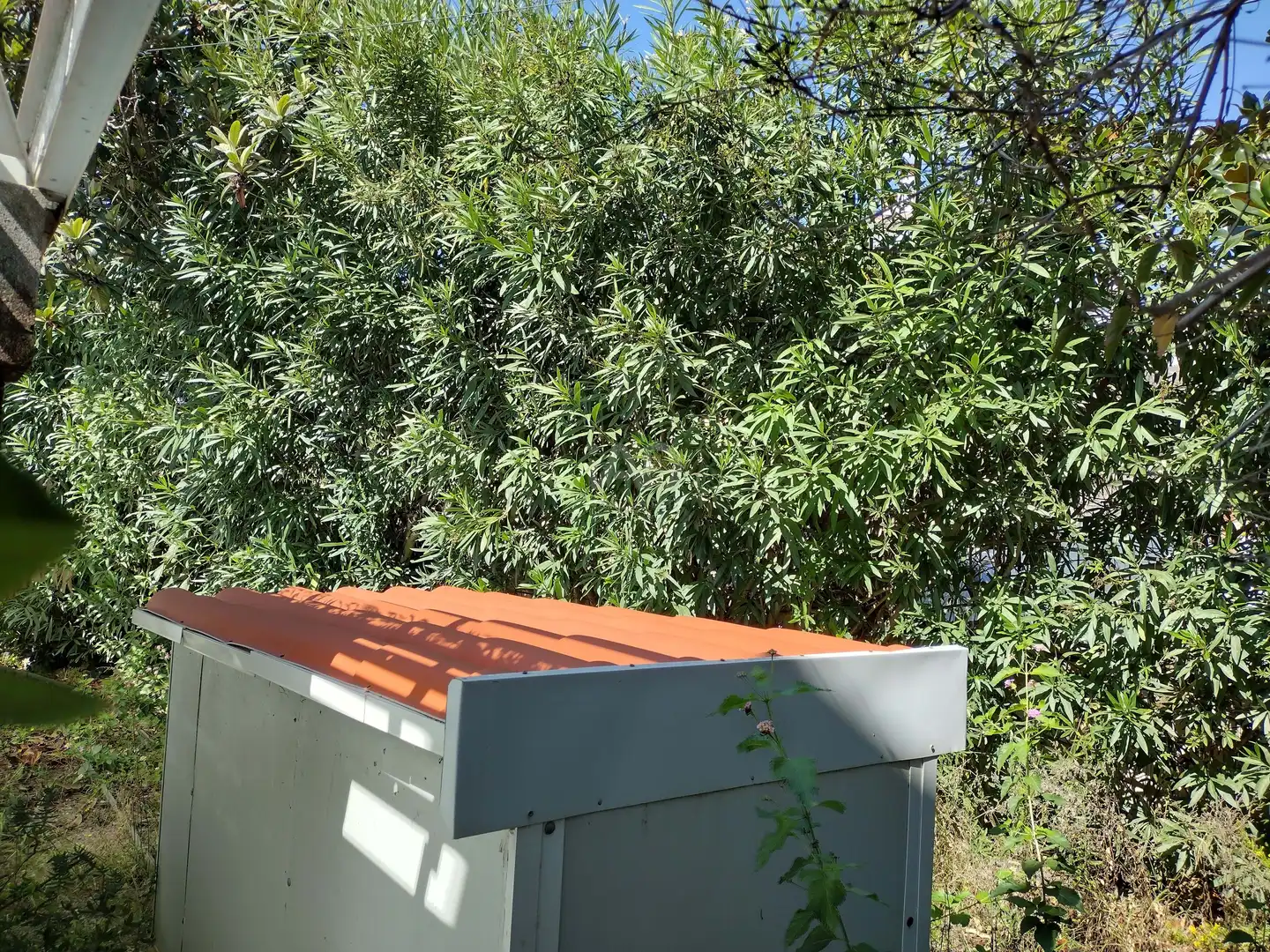 Garden of Residential for sale in Canet de Mar