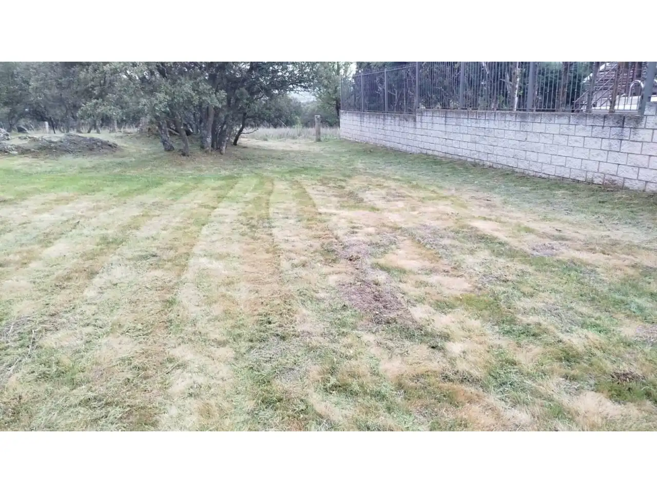 Terreny rústic en venda a Villavieja del Lozoya, imagen 6