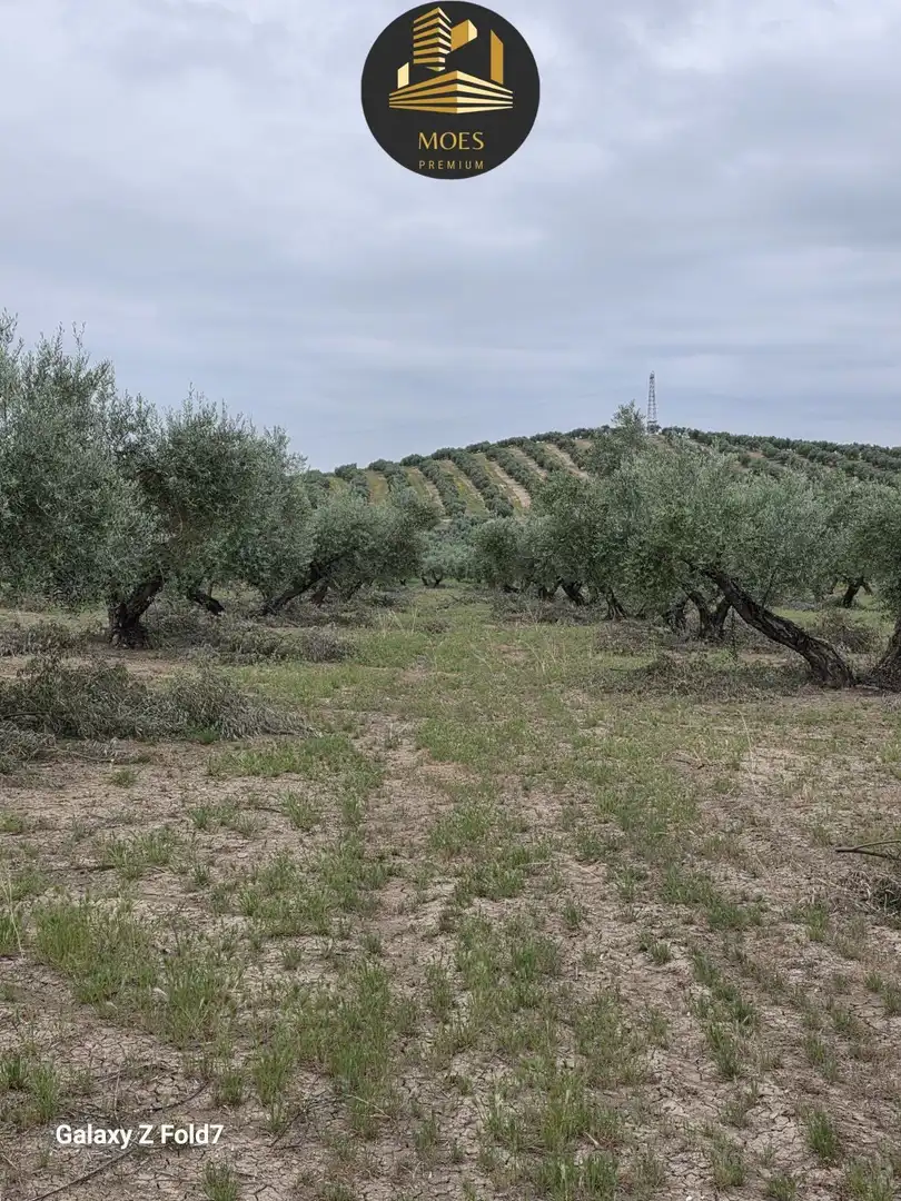 Residencial en venta en Pegalajar