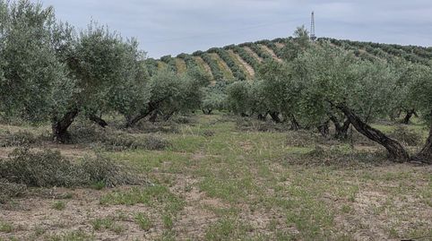 Photo 3 of Residential for sale in Pegalajar, Jaén