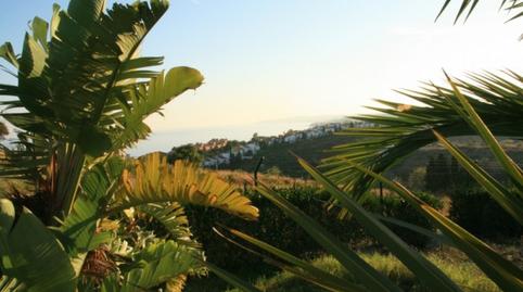 Photo 3 of Residential for sale in Seghers, Málaga