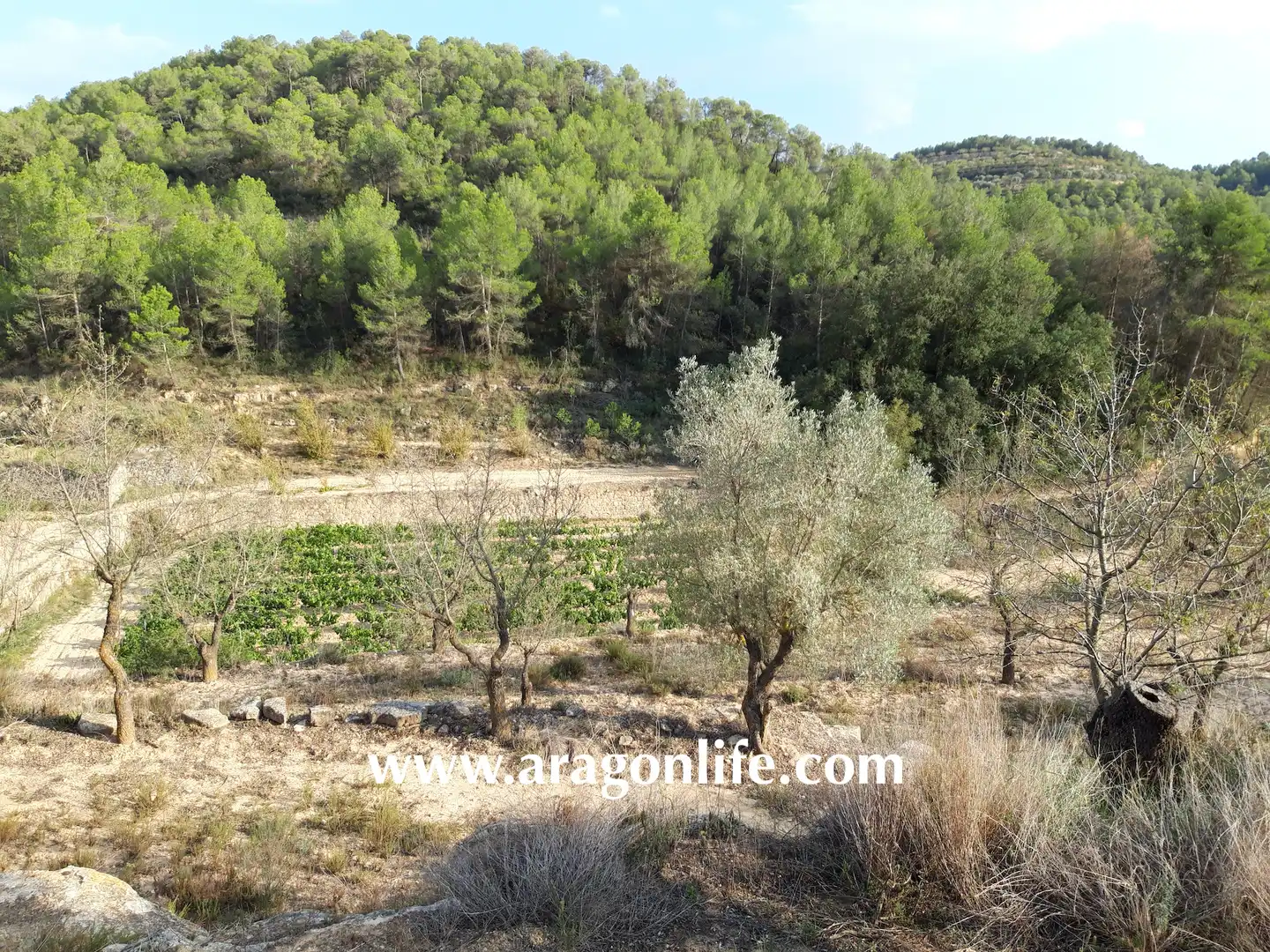 Finca rústica en venda en Caseres