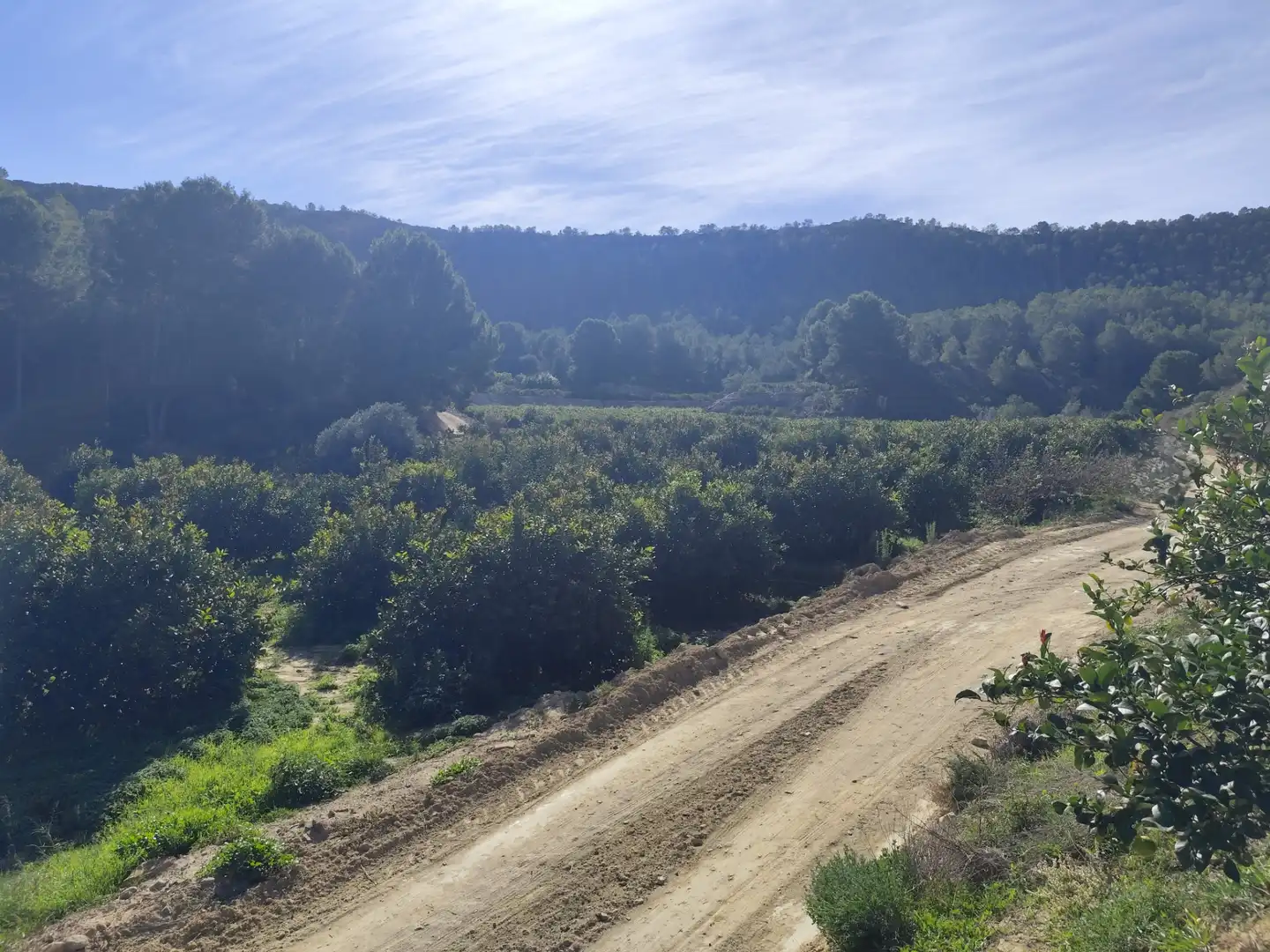 Terreny en venda en Murcia