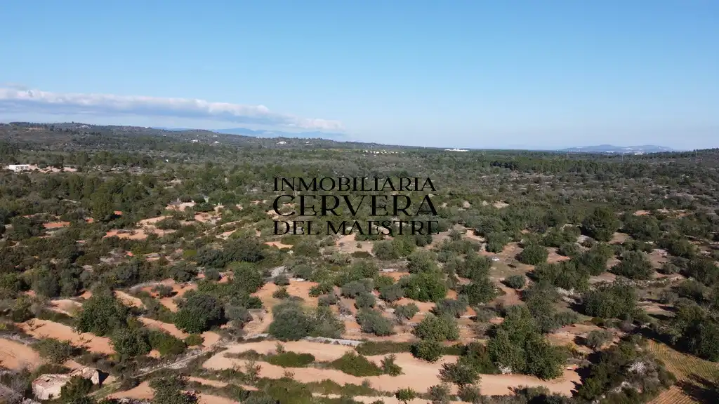 Terreno rustico in vendita a Cervera del Maestre, imagen 21