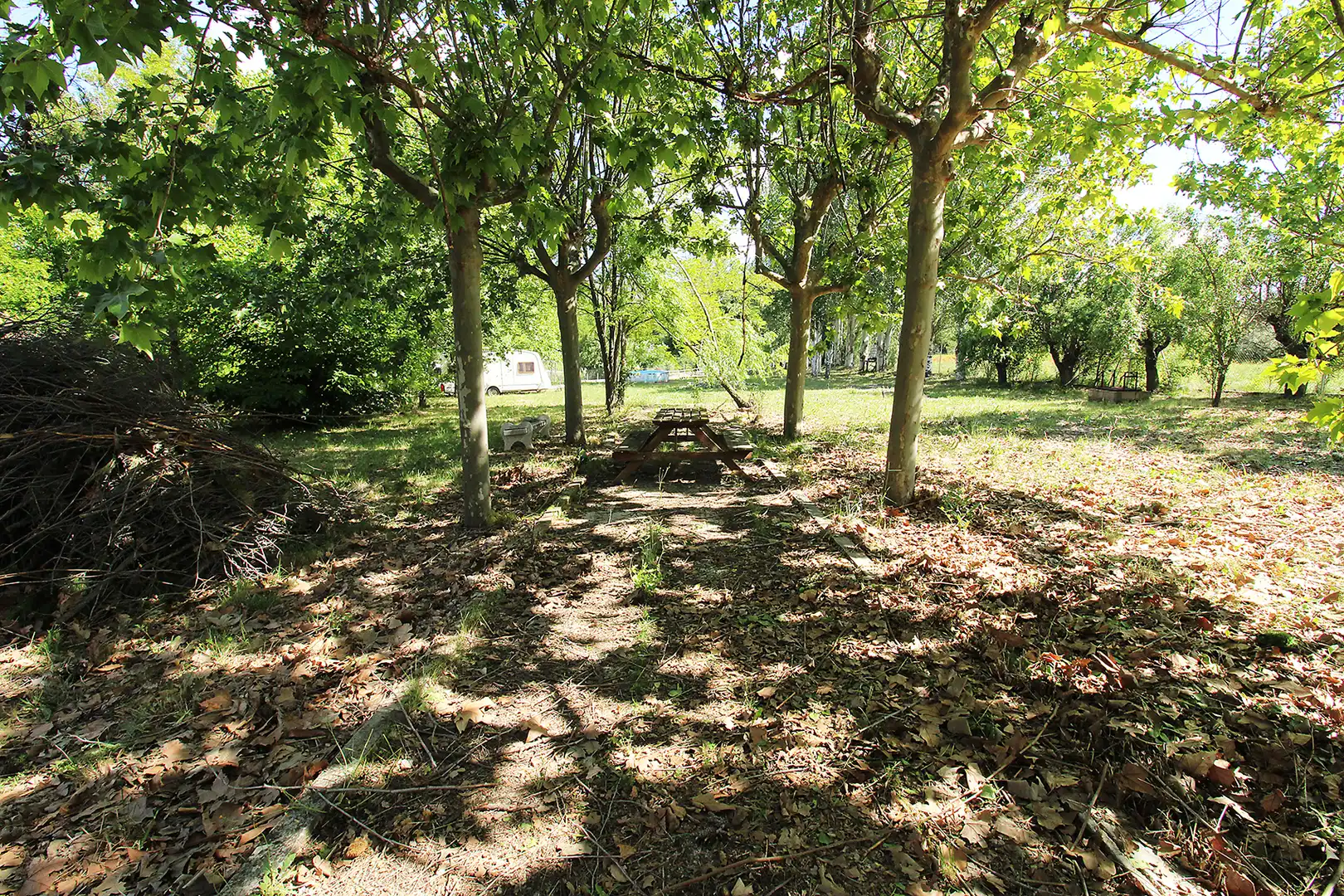 Land for sale in Torrelaguna