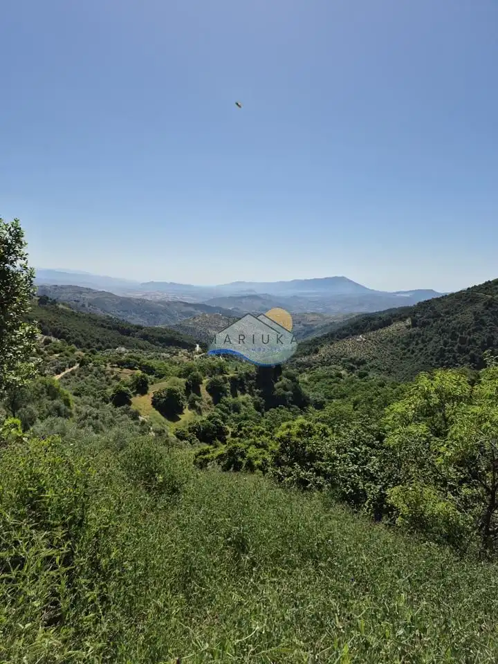Terreny rústic en venda a poligono 10, imagen 16