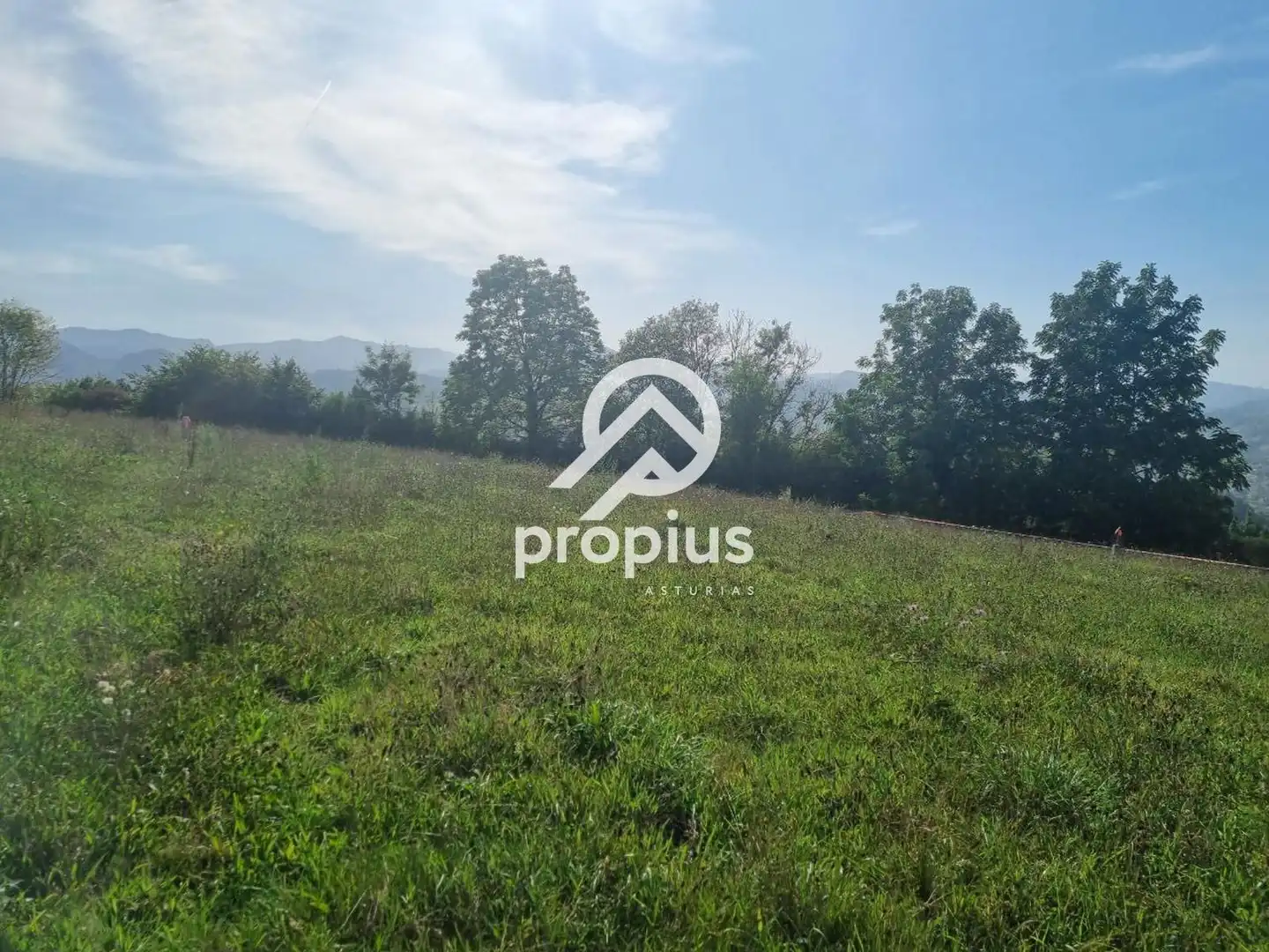 Rural land for sale in Arenas, imagen 9