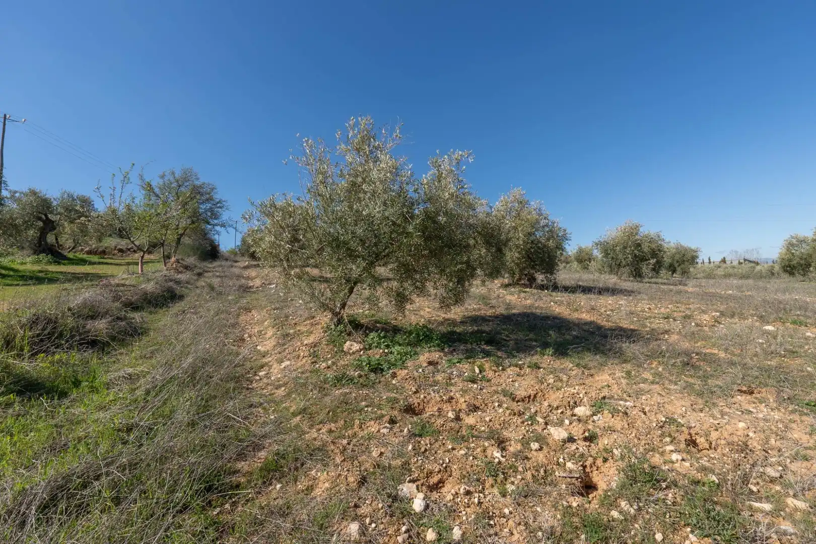 Terreni e lotti in vendita a Cogollos de la Vega, imagen 16