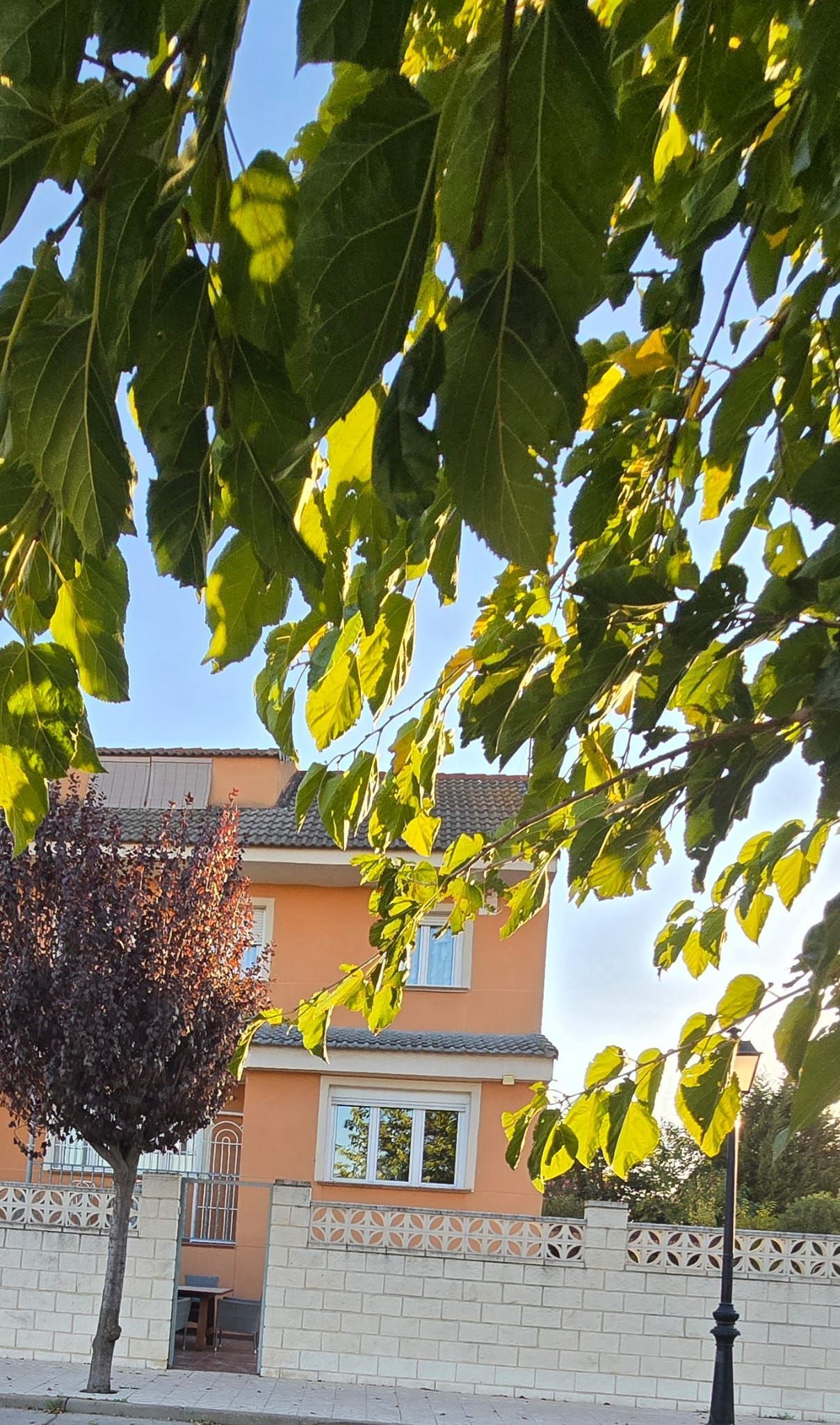 Vista exterior de Casa o xalet en venda en Torrejón de la Calzada amb Calefacció, Terrassa i Traster