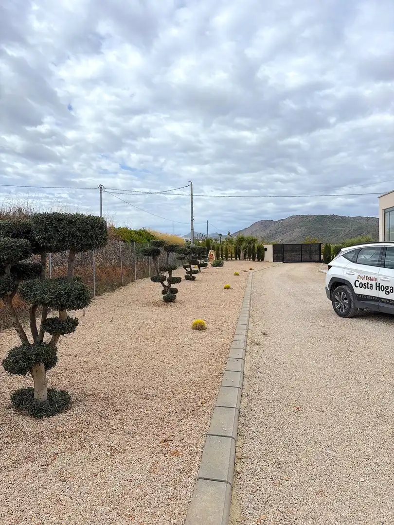 Villa avec piscine à vendre à El Altico, imagen 41