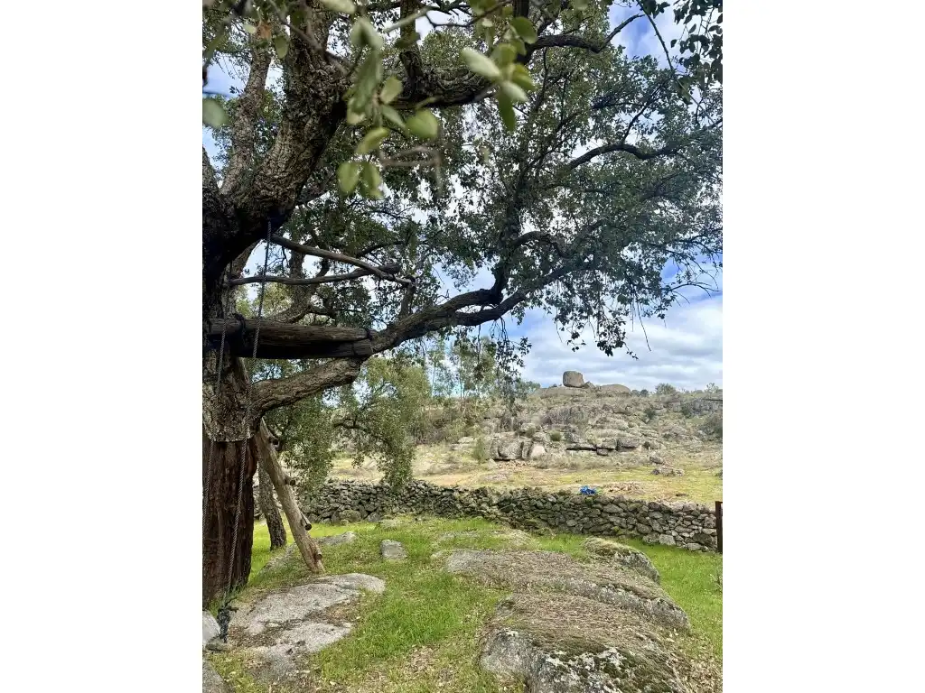 Casa rústica en venda a Lugar Miera, imagen 35