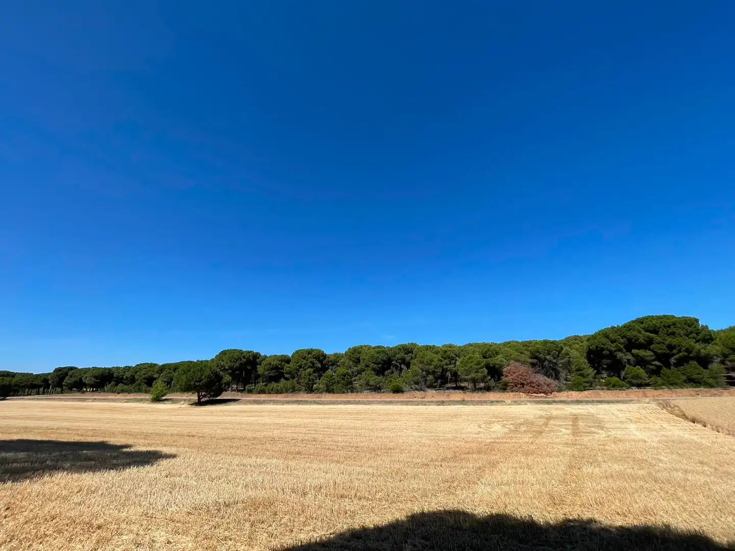 Terreny rústic en venda a N/A, imagen 7